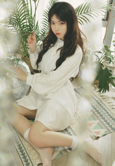 爱上琉璃苣女孩
